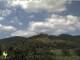 Neustadt-Hambach 14.06.2025 11:45