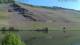 Bernkastel-Wehlen 30.04.2025 11:20