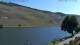 Bernkastel-Wehlen 20.04.2025 11:20