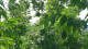 Melle 20.06.2026 11:27