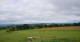 Grebenhain 10.07.2025 11:20