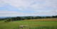 Grebenhain 11.07.2025 11:20