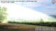 Hochwolkersdorf 11.05.2025 11:03