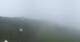 Planneralm 07.07.2025 11:20