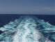 Costa Diadema 29.04.2025 12:20