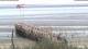 Wyk auf Föhr 14.07.2025 11:28