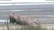 Wyk auf Föhr 14.07.2025 11:28