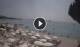 Porto-Vecchio (Corsica) 14.06.2025 11:21