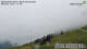 Werfenweng 02.07.2025 11:17