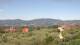 Pietrapiana 09.07.2025 11:21