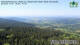 Maibrunn 29.04.2025 11:18