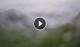 Syðrugøta 15.07.2025 11:29