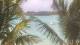 Pointe aux Canonniers 30.04.2025 11:22