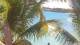 Pointe aux Canonniers 23.04.2025 11:22