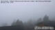 Falkertsee 09.05.2025 11:21