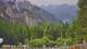 Schwangau 15.06.2025 11:23