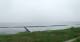 Nebel (Amrum) 08.06.2025 11:23