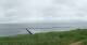 Nebel (Amrum) 05.07.2025 11:23
