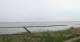 Nebel (Amrum) 29.04.2025 11:23