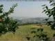 Fornovo di Taro 13.06.2025 11:23