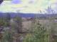 Eggedal 09.06.2025 11:23