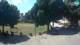 Svetvinčenat 03.07.2025 11:23