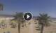 Riccione 30.04.2025 11:24