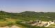 Cerretto Langhe 14.06.2025 11:25