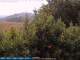 Bolonia 09.06.2025 11:25