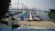 Breitbrunn am Chiemsee 08.06.2025 11:25