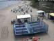 Heringsdorf (Usedom) 29.04.2025 11:25