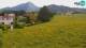 Medvode 12.05.2025 11:26