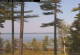 Windham, Maine 15.07.2025 11:31