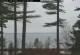 Windham, Maine 29.04.2025 11:26