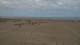 Dunkirk 09.07.2025 11:25