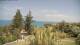 Flatts Village 30.04.2025 11:26