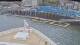 Norwegian Jade 30.04.2025 11:27