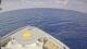 Norwegian Joy 21.02.2025 11:28