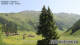 Klosters-Serneus 15.06.2025 11:28
