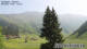 Klosters-Serneus 09.06.2025 11:28