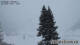 Klosters-Serneus 21.12.2024 11:28