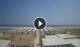 Cesenatico 15.06.2025 11:27