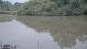 Les Landes-Genusson 01.07.2025 11:28