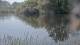 Les Landes-Genusson 08.05.2025 11:28