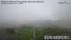 Stuben 12.05.2025 11:29