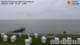 Husum 09.06.2025 11:29