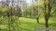 Husum 30.04.2025 11:30