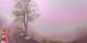 Lourdes 10.05.2025 11:28