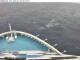 Norwegian Viva 30.04.2025 11:29