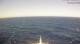 AIDAcosma 08.07.2025 11:28